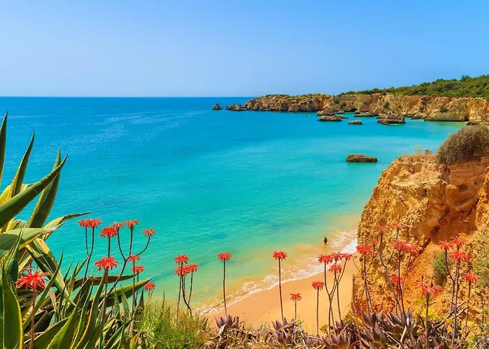 Casa - Private Swimming Pool - Air Conditioning In Bedrooms - Wifi Villa *